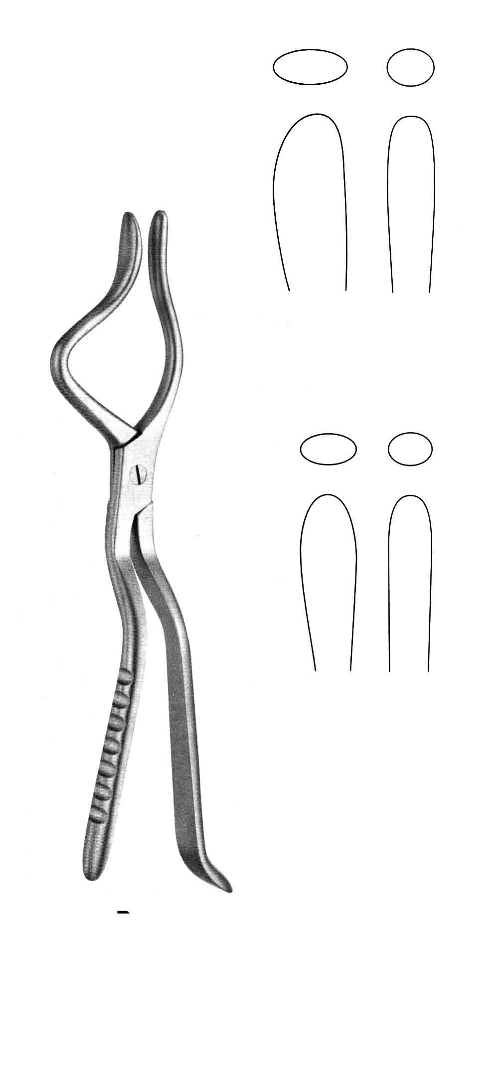 ROME FORSEPS BÜYÜK MODEL SAĞ